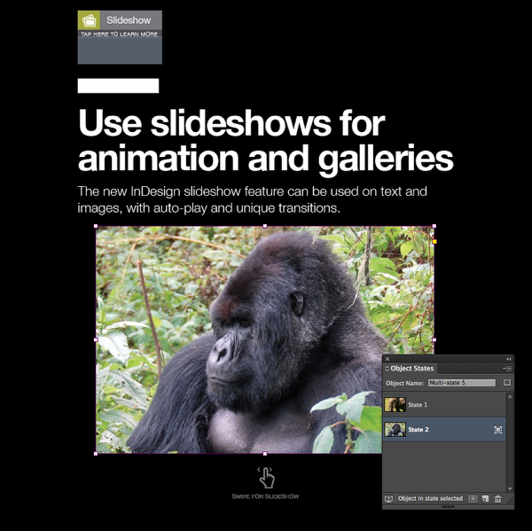 Double-click on your image box and use the Place command to put the image for your second slide in the box.