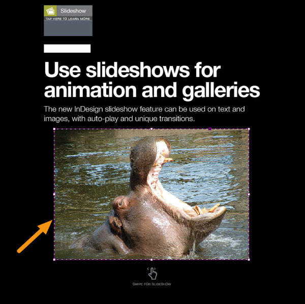 When done, select your image box by clicking on it once.