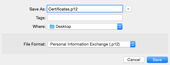 Save the file as a .p12 file on your desktop.