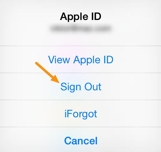 Click on the &quot;Sign Out&quot; button.